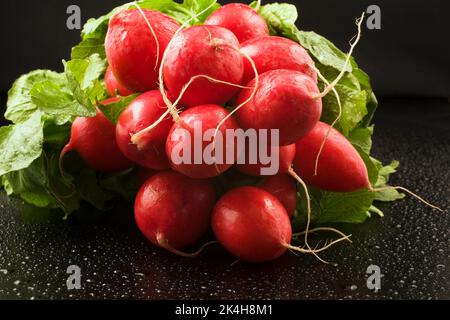 Raphanus sativus raccolto - si irradiano su fondo nero bagnato con goccioline d'acqua. Foto Stock