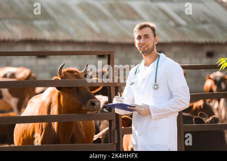 Veterinario vicino paddock con mucche in fattoria Foto Stock