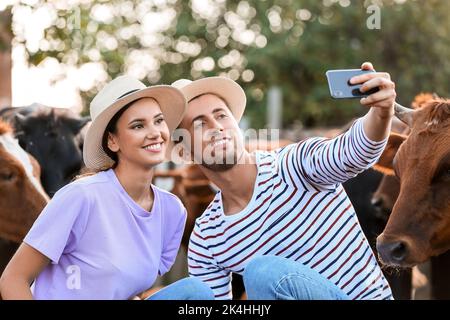 Giovani agricoltori che prendono selfie in paddock con le mucche all'aperto Foto Stock