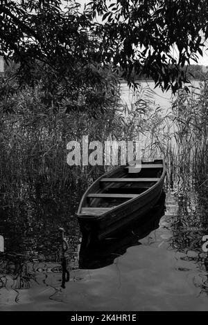 Un'immagine in scala di grigi di una vecchia barca di legno su un lago Foto Stock
