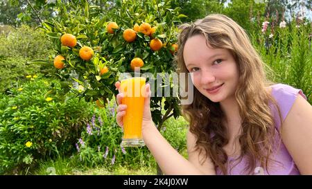 la ragazza beve succo d'arancia sullo sfondo di un albero di mandarino, può essere succo d'arancia mango mandarino beve avidamente e ama davvero il succo delizioso ovunque verdi ed estate. Foto Stock