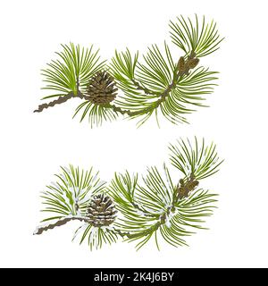 Ramo di pino con vettore di cono Illustrazione Vettoriale