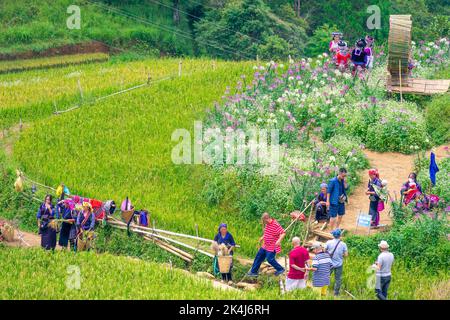 Provincia di Yen Bai, Vietnam - 23 Set 2022: Vista dei turisti e della gente locale in terrazze di riso dorato a Mu cang Chai città vicino Sapa città, a nord di Vietn Foto Stock