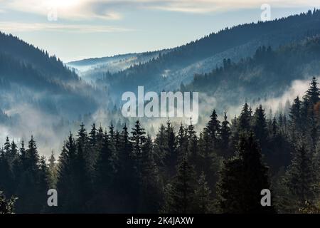 Nebbia profonda sopra la valle all'alba. Splendido sfondo autunnale in montagna. Bella natura scenario astratto. Foto Stock