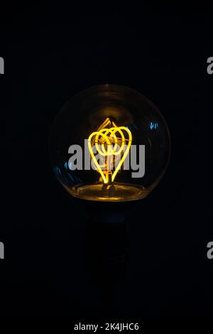 Luce accesa la lampadina su sfondo nero Foto Stock