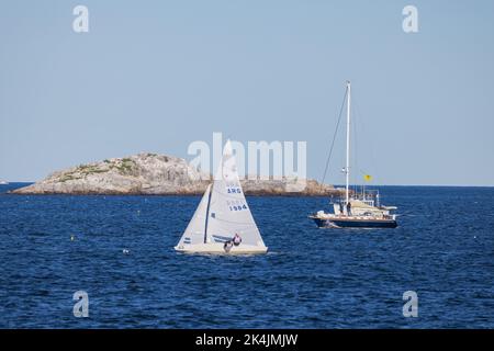 Una barca a vela di classe Etchells Fleet racing in mare Foto Stock