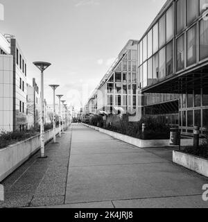 Vienna, Austria - Frebruario 28, 2022: Vecchi edifici universitari abbandonati in inverno su Althanstrasse Foto Stock