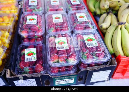 Negozio di frutta ad Adelaide, South Australia Foto Stock