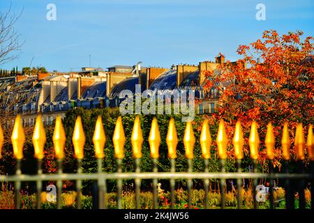 automn a parigi, francia, europa Foto Stock