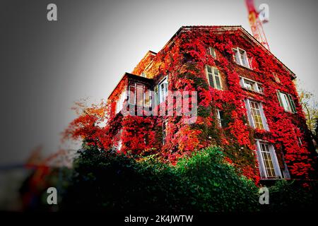 automn a parigi, francia, europa Foto Stock