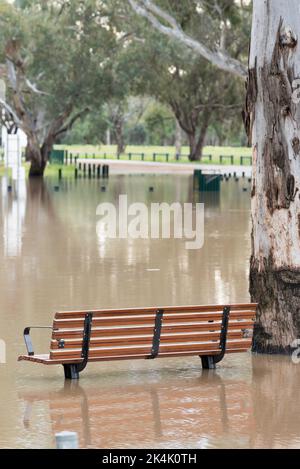 26 settembre 2022 Nyngan, NSW, Australia: Il fiume Bogan in alluvione ha raggiunto livelli di alluvione moderati di 3,4m m che si riversarono sulle sue rive in sentieri per picnic e passeggiate e nelle parti inferiori del parco caravan locale vicino al ponte Peter Sinclair. Credito, Stephen Dwyer, Alamy Foto Stock