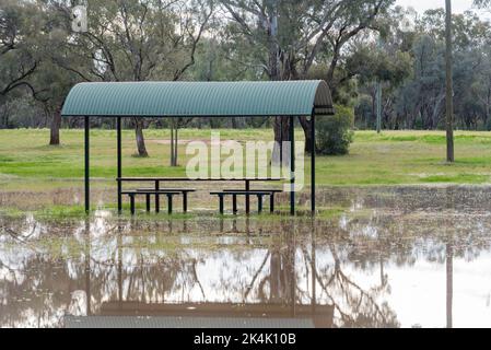 26 settembre 2022 Nyngan, NSW, Australia: Il fiume Bogan in alluvione ha raggiunto livelli di alluvione moderati di 3,6m m che si riversarono sulle sue rive in sentieri per picnic e passeggiate e nelle parti inferiori del parco caravan locale vicino al ponte Peter Sinclair. Il Rotary Park è stato allagato. Credito, Stephen Dwyer, Alamy Foto Stock