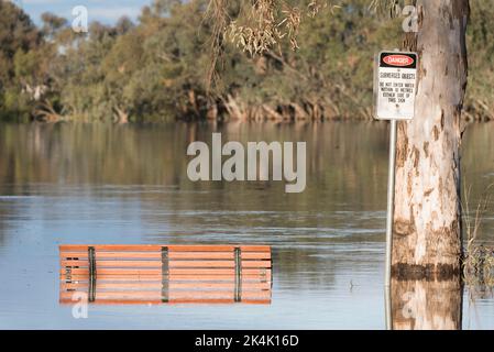 28 settembre 2022 Nyngan, NSW, Australia: Il fiume Bogan in alluvione ha raggiunto livelli di alluvione moderati di 3,6m m che si riversarono sulle sue rive in sentieri per picnic e passeggiate e nelle parti inferiori del parco caravan locale vicino al ponte Peter Sinclair. Credito, Stephen Dwyer, Alamy Foto Stock