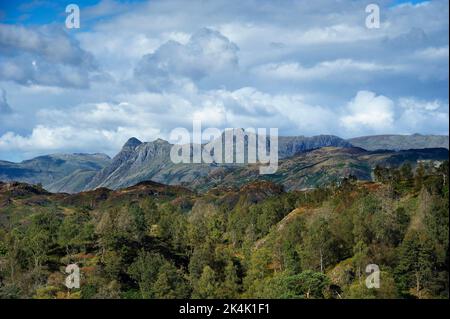 Guardando a nord-ovest da sopra Tarn Hows nel Lake District. Foto Stock