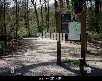 West Walk, Forest of Bere, Fareham, Hampshire, Regno Unito Foto Stock