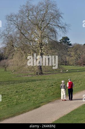 coppia più anziana che cammina insieme nel parco di campagna suffolk inghilterra Foto Stock