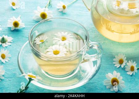 Tè camomilla in una tazza con una teiera, un infuso di erbe per rilassarsi, fiori organici sciolti su uno sfondo blu Foto Stock