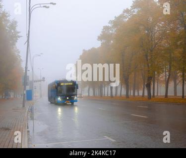 Mosca. Russia. Ottobre 1, 2022. Autobus elettrico urbano blu in nebbia fitta in un giorno d'autunno. Un autobus elettrico guida giù per la strada oltre gli alberi con foglie in caduta. Foto Stock