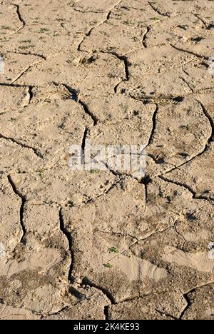 la siccità ha incrinato la terra a causa della mancanza di acqua cambiamenti climatici Foto Stock