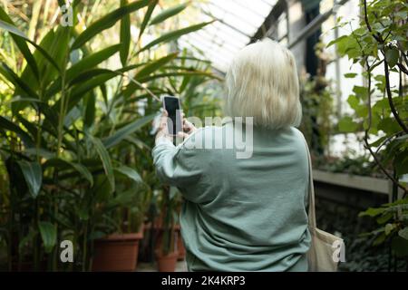 Immagine di bella donna senior giardiniere che lavora su piante in serra scattare una foto tramite telefono cellulare. Foto Stock