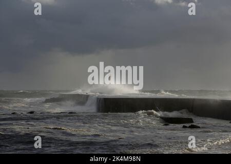 Ave foce del fiume prima di tempesta e pioggia in serata, Vila do Conde, a nord del Portogallo Foto Stock