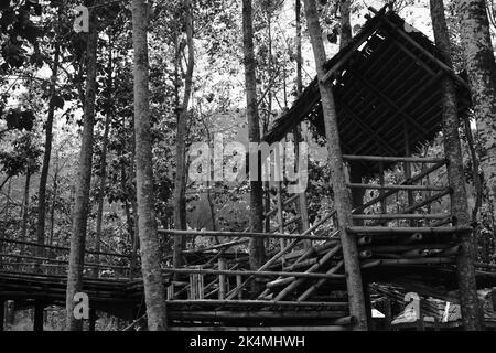 Capanne di bambù, capanne terrazzate, capanne di bambù ai margini della foresta, foto monocromatiche, nella zona di Cikancung - Indonesia Foto Stock