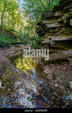 Raven Run Creek e gola nel Raven Run Nature Sanctuary di Lexington, Kentucky Foto Stock