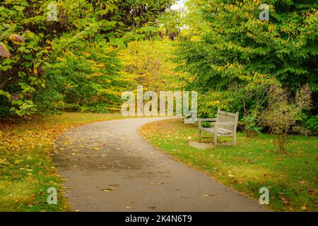 Sentiero escursionistico e una panchina a Arboretum a Lexington, Kentucky in autunno Foto Stock