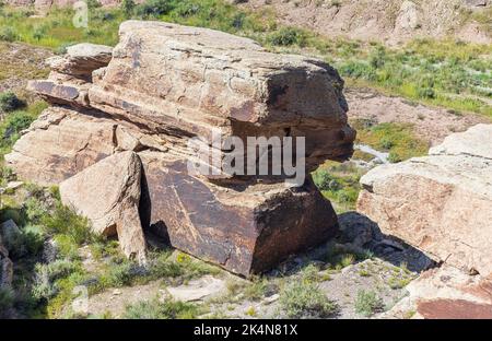 Petroglifi incisi su una pietra nel Petrified Forest National Park in Arizona Foto Stock