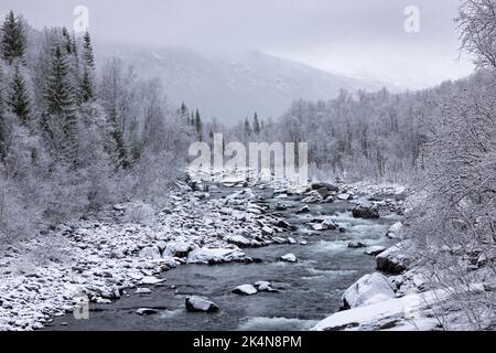 fiume in inverno, con foresta e montagna sullo sfondo Foto Stock