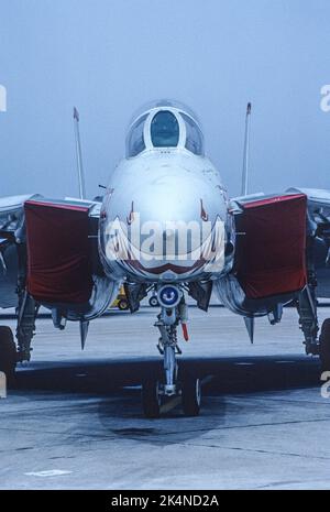 Grumman F-14 naso del jet parcheggiato sul asfalto a NAS Miramar a San Diego, California Foto Stock