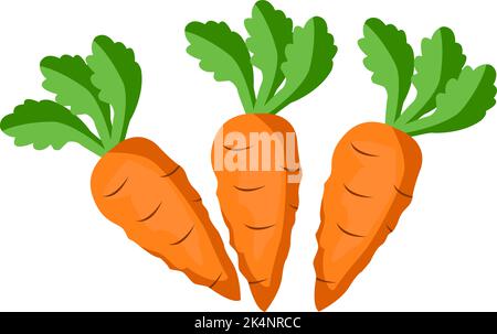 Tre carote, illustrazione, vettore su sfondo bianco. Illustrazione Vettoriale