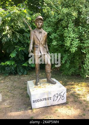 Szczecin, Polonia - 13 agosto 2018: Statua dedicata ai combattenti di budapest del 1956 Foto Stock