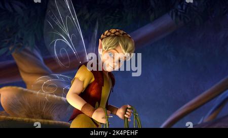 TERENCE, TINKER BELL, 2008 Foto Stock