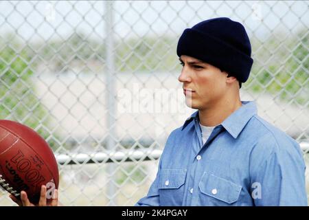 SEAN Faris, è sempre forte, 2008 Foto Stock