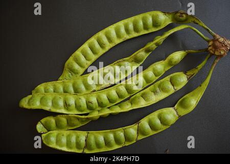 Pete in Indonesia è un albero tropicale annuale della tribù leguminosa (Fabaceae). Mlanding (Parkia speciosa) Foto Stock