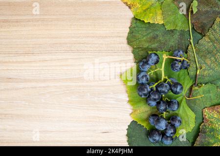 Layout creativo fatto di foglie d'uva e frutta fresca in autunno sul tavolo con spazio neutro. Concetto di posa piatta. Ideale per la diapositiva di presentazione. Foto Stock