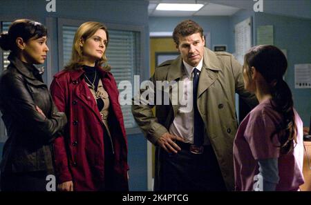 TAYLOR,DESCHANEL,BOREANAZ, OSSA : STAGIONE 4, 2008 Foto Stock