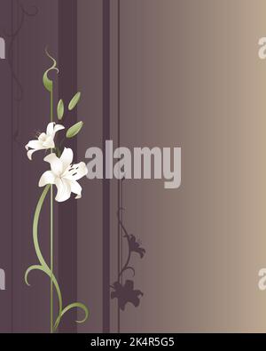 Due gigli bianchi che crescono su uno sfondo disegnato in viola e oro Illustrazione Vettoriale