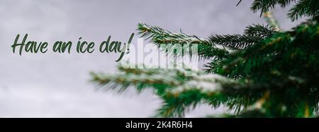 Abbia un giorno di ghiaccio ispirazione scherzo citazione frase rami conifere coperti di hoarfrost. Neve sfondo inverno. Pino abete Banner Foto Stock