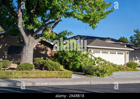 Pericoloso ramo di albero caduto in quartiere residenziale. Le cause possono includere una tempesta, un ambiente caldo e asciutto, o perché il ramo si estende oltre Foto Stock