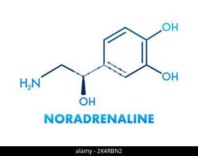 Etichetta icona formula chimica idea noradrenalina, illustrazione vettoriale font testo Illustrazione Vettoriale