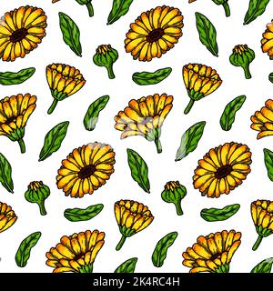 Calendula disegnata a mano senza cuciture. Illustrazione vettoriale in stile di schizzo colorato. Fondo botanico con fiori estivi Illustrazione Vettoriale