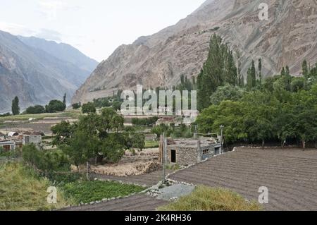 Villaggio di Turtuk nella remota valle di Nubra, sopra il fiume Shyok vicino alla linea di controllo (linea di cessate il fuoco) con Pakistan, Ladakh, Kashmir, India Foto Stock