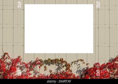Beffa. Pannello pubblicitario orizzontale bianco, cartellone, cartello su sfondo beige Foto Stock