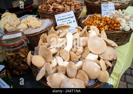 Neckargemuend, Germania 25 settembre 2022: Funghi di erbe fresche (Pleurotus eryngii) e altri cestini di funghi in un mercato autunnale Foto Stock