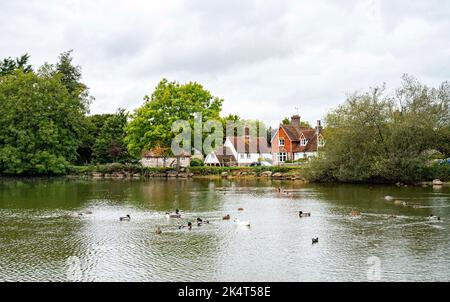 Brighton UK 4th ottobre 2022 - i livelli dell'acqua nello stagno sassone nel villaggio di Falmer vicino a Brighton sono quasi tornati alla normalità dopo le recenti precipitazioni . Lo stagno completamente asciugato fuori durante la siccità estiva del 2022 . : Credit Simon Dack / Alamy Live News Foto Stock