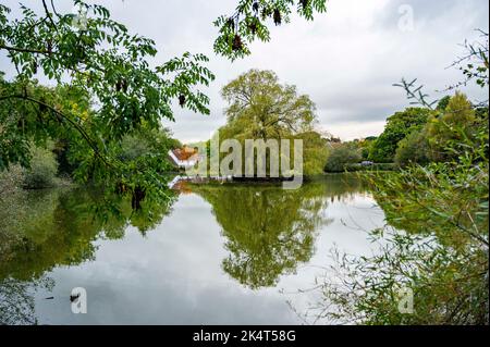 Brighton UK 4th ottobre 2022 - i livelli dell'acqua nello stagno sassone nel villaggio di Falmer vicino a Brighton sono quasi tornati alla normalità dopo le recenti precipitazioni . Lo stagno completamente asciugato fuori durante la siccità estiva del 2022 . : Credit Simon Dack / Alamy Live News Foto Stock
