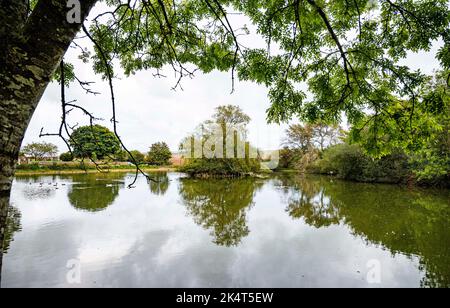 Brighton UK 4th ottobre 2022 - i livelli dell'acqua nello stagno sassone nel villaggio di Falmer vicino a Brighton sono quasi tornati alla normalità dopo le recenti precipitazioni . Lo stagno completamente asciugato fuori durante la siccità estiva del 2022 . : Credit Simon Dack / Alamy Live News Foto Stock
