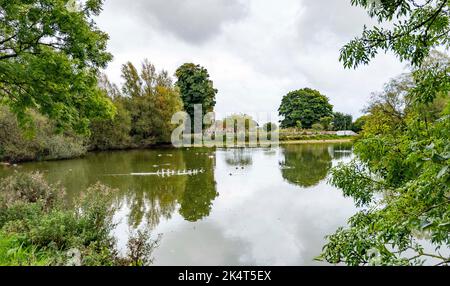Brighton UK 4th ottobre 2022 - i livelli dell'acqua nello stagno sassone nel villaggio di Falmer vicino a Brighton sono quasi tornati alla normalità dopo le recenti precipitazioni . Lo stagno completamente asciugato fuori durante la siccità estiva del 2022 . : Credit Simon Dack / Alamy Live News Foto Stock